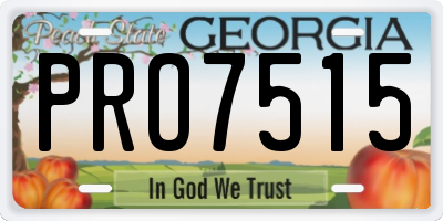 GA license plate PRO7515