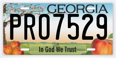 GA license plate PRO7529