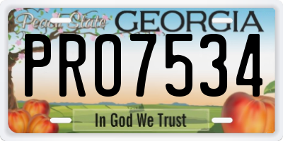 GA license plate PRO7534