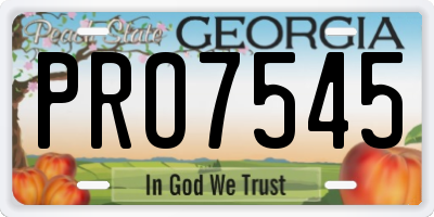 GA license plate PRO7545