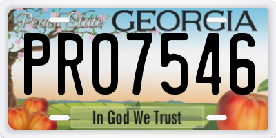 GA license plate PRO7546