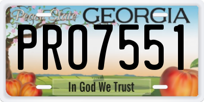 GA license plate PRO7551