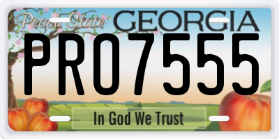 GA license plate PRO7555