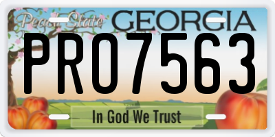 GA license plate PRO7563