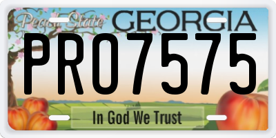 GA license plate PRO7575