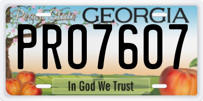 GA license plate PRO7607