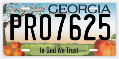 GA license plate PRO7625