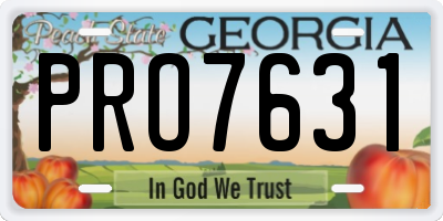 GA license plate PRO7631