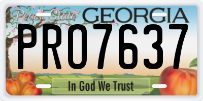 GA license plate PRO7637