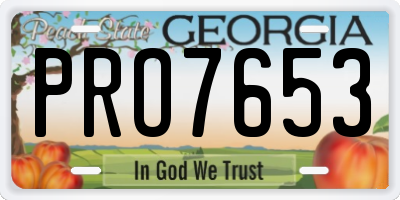 GA license plate PRO7653
