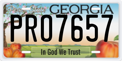 GA license plate PRO7657