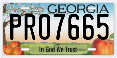 GA license plate PRO7665
