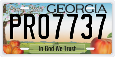 GA license plate PRO7737