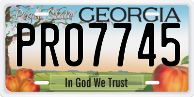 GA license plate PRO7745
