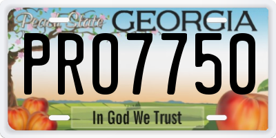 GA license plate PRO7750