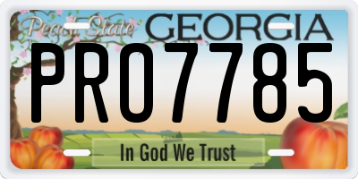 GA license plate PRO7785