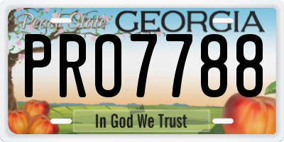 GA license plate PRO7788
