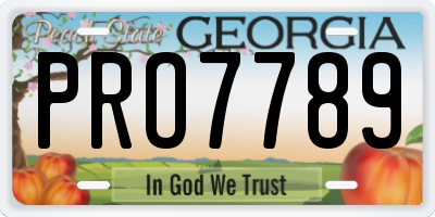 GA license plate PRO7789