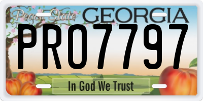 GA license plate PRO7797