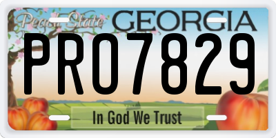 GA license plate PRO7829