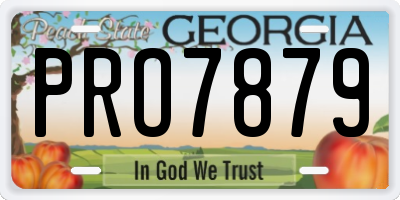 GA license plate PRO7879
