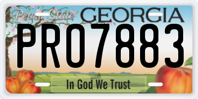 GA license plate PRO7883
