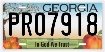 GA license plate PRO7918
