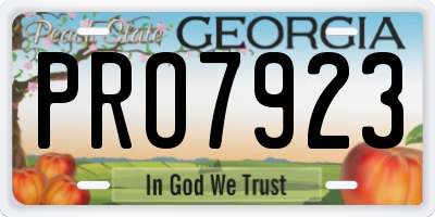 GA license plate PRO7923