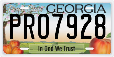 GA license plate PRO7928