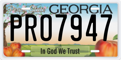 GA license plate PRO7947