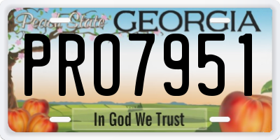 GA license plate PRO7951