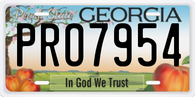 GA license plate PRO7954