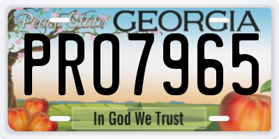 GA license plate PRO7965