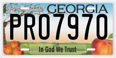 GA license plate PRO7970
