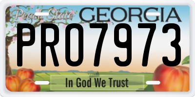 GA license plate PRO7973