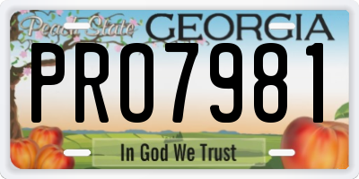 GA license plate PRO7981