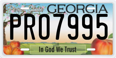 GA license plate PRO7995