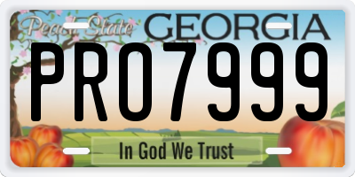 GA license plate PRO7999