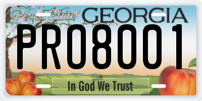 GA license plate PRO8001