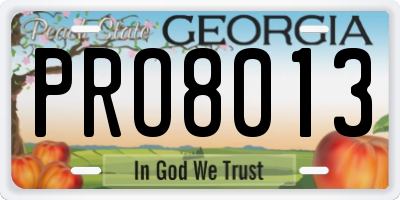 GA license plate PRO8013