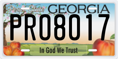 GA license plate PRO8017
