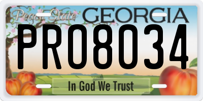 GA license plate PRO8034