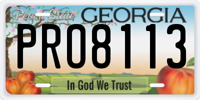 GA license plate PRO8113