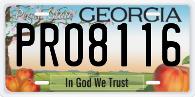 GA license plate PRO8116