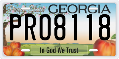 GA license plate PRO8118