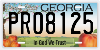 GA license plate PRO8125