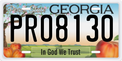 GA license plate PRO8130