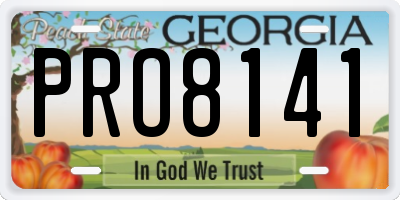 GA license plate PRO8141
