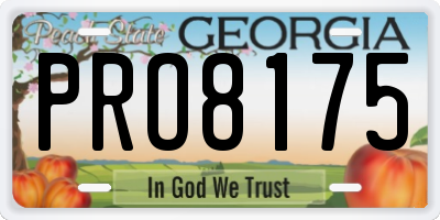 GA license plate PRO8175