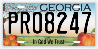 GA license plate PRO8247